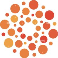 Image du profil utilisateur