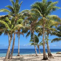 Image du profil utilisateur