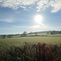 Image du profil utilisateur