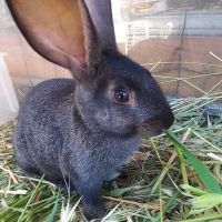 Image du profil utilisateur