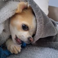 Image du profil utilisateur