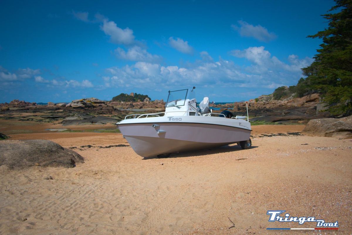 Bateau amphibie Tringa T650