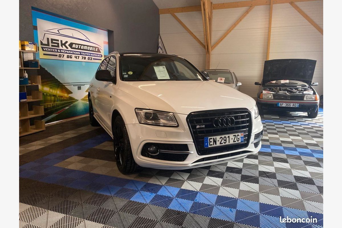 SQ5 3.0 V6 BITDi