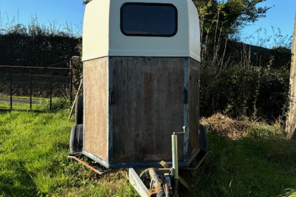 Van 2 places Westfalia- très peu roulé