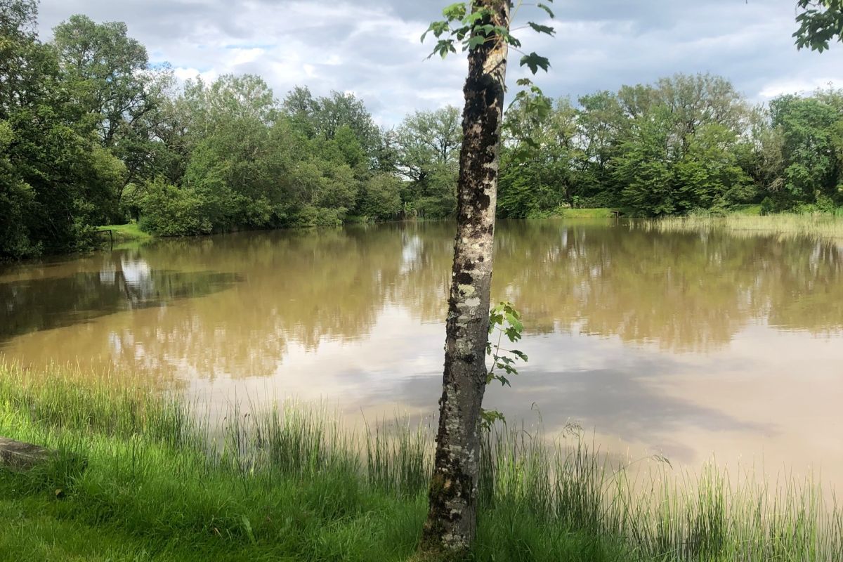 Etang de 1.5 hectares