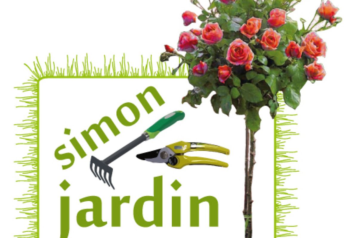 Homme propose ses services de jardinage