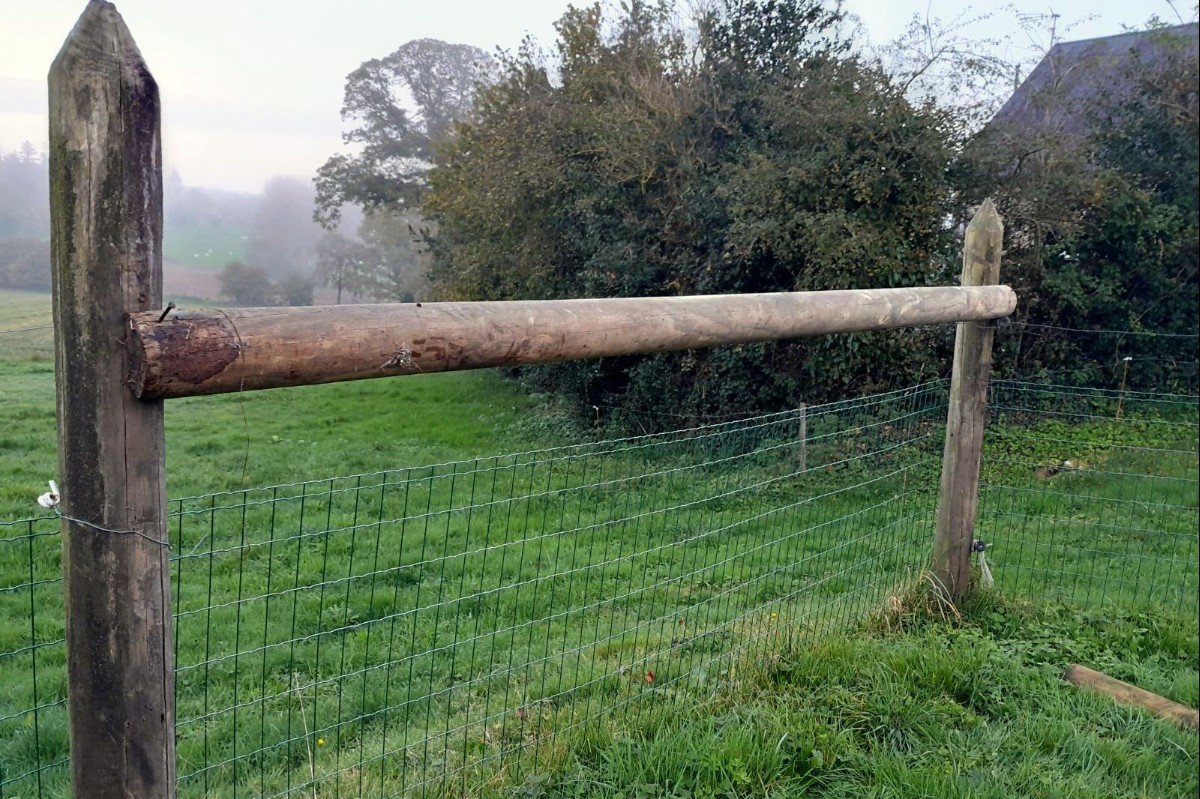 21 lisses en bois demi rondes