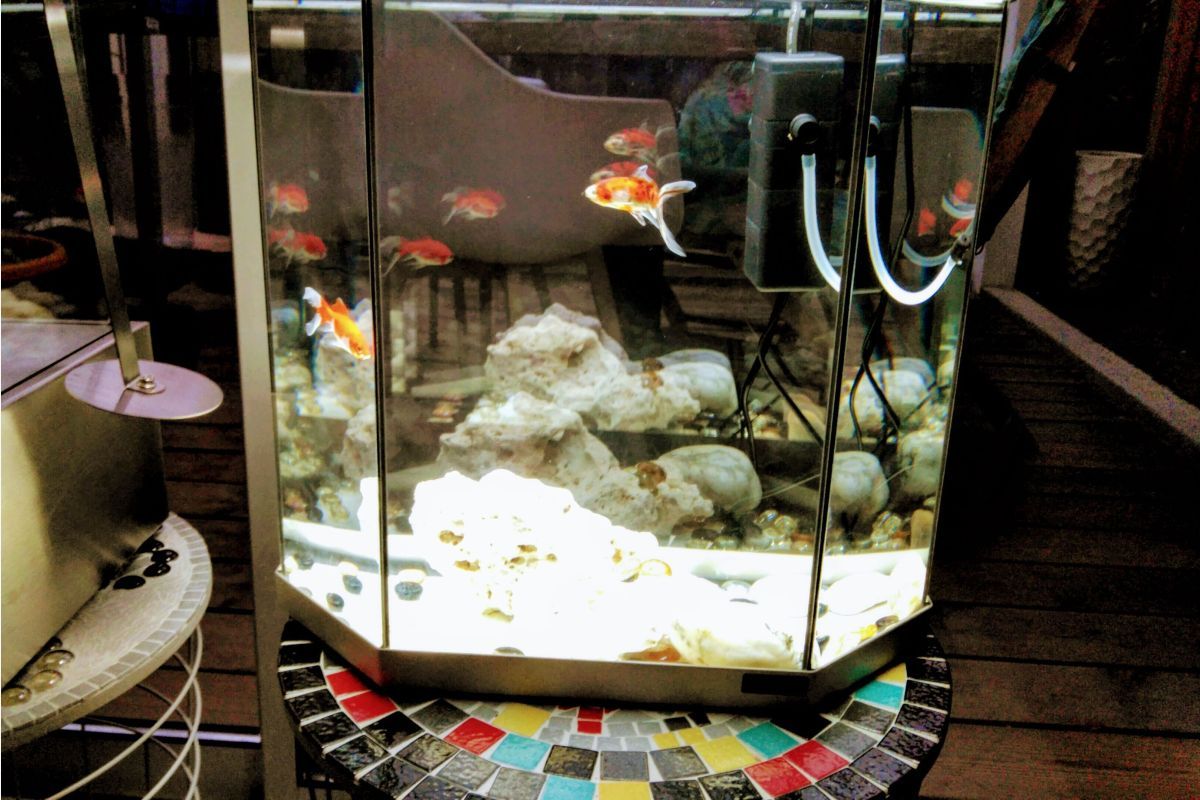 Aquarium