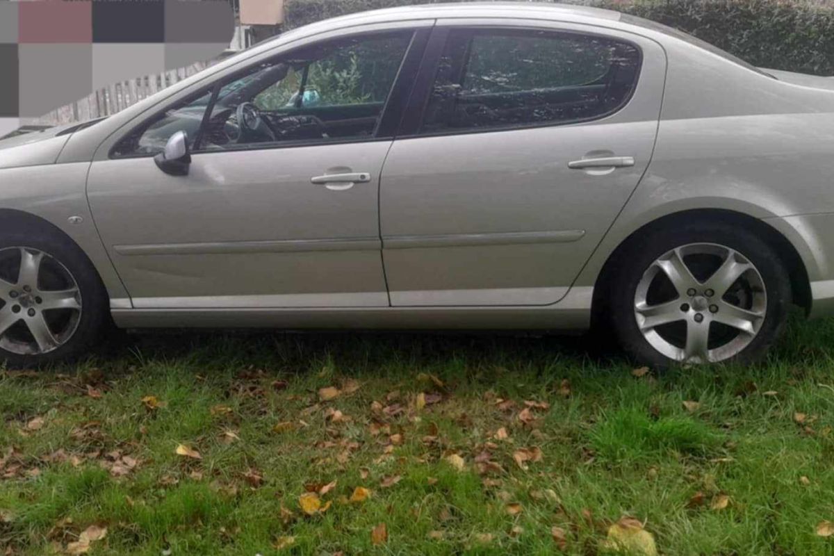 Peugeot 407