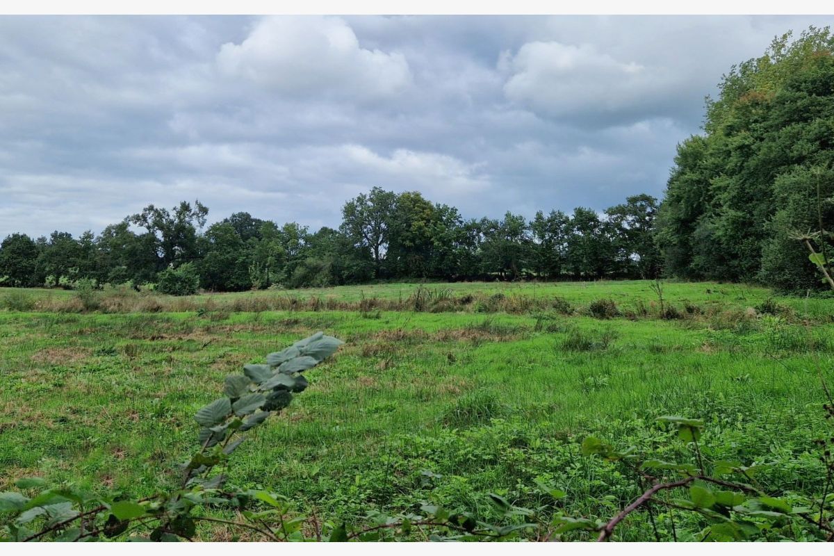 5 ha de terres agricoles