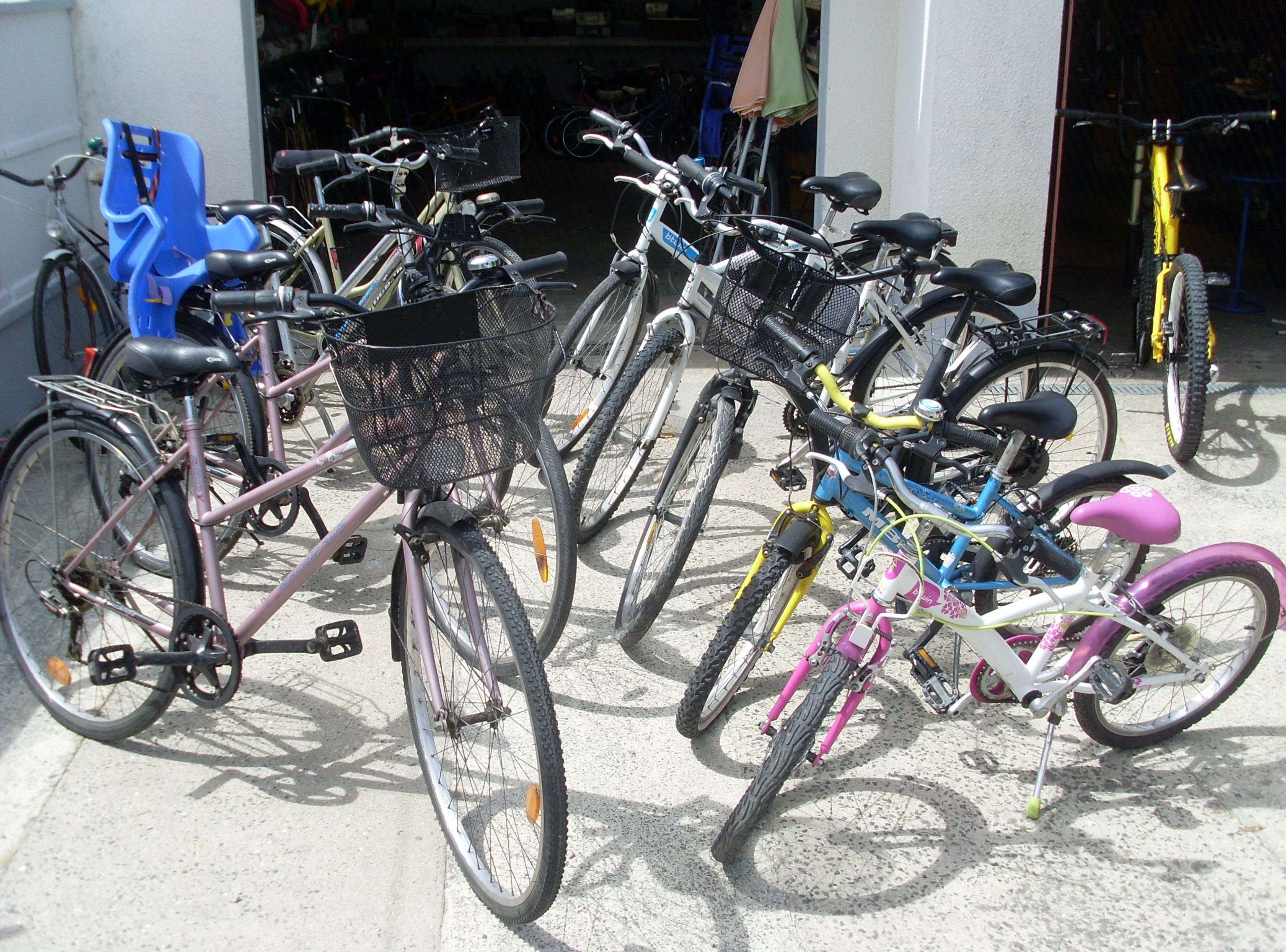 Nombreux vélos