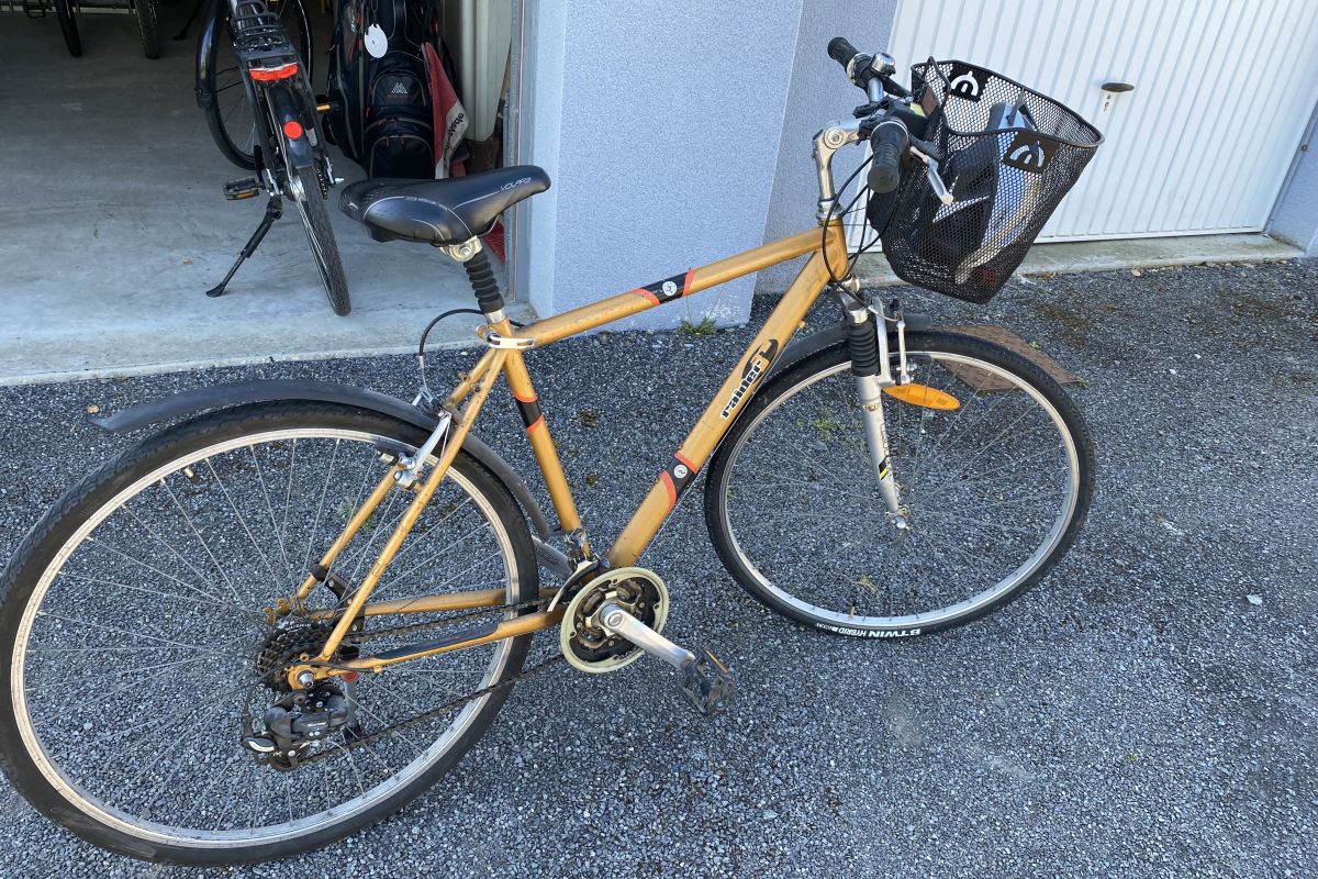Velo homme