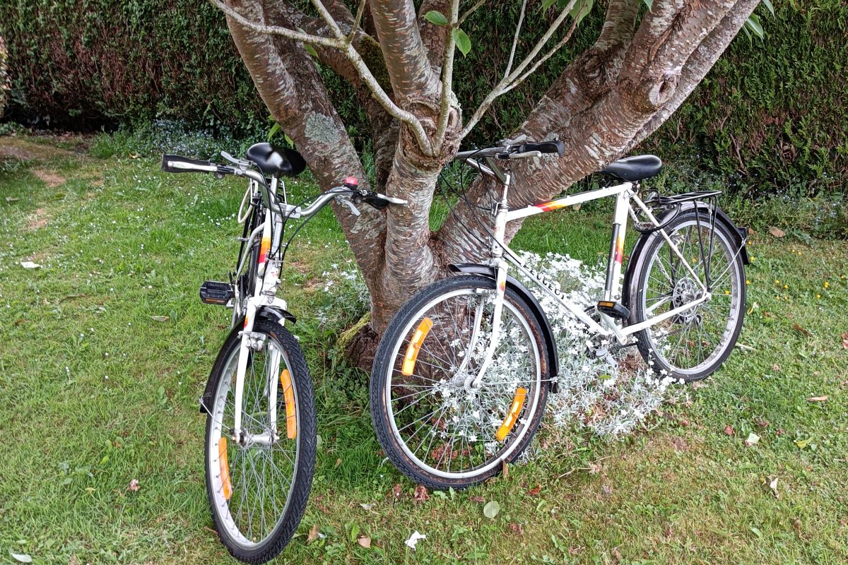 AV LOT DE TROIS VTT