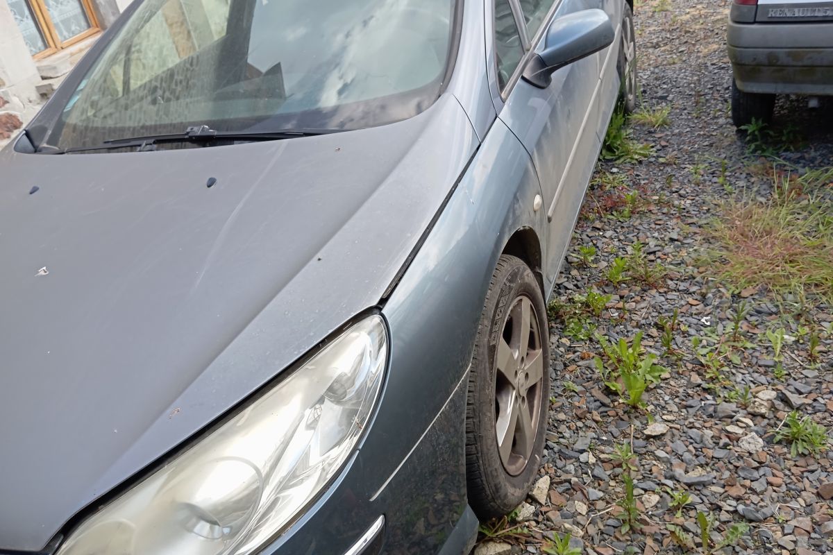 A vendre 407