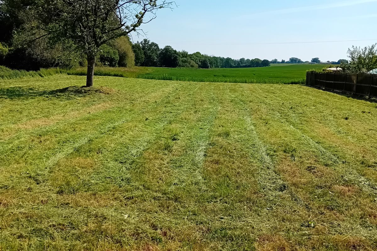 Service entretien jardin 