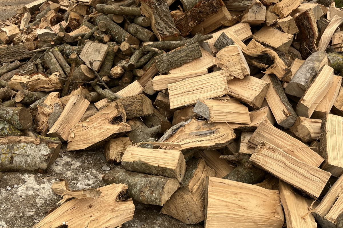 Bois de chauffage 
