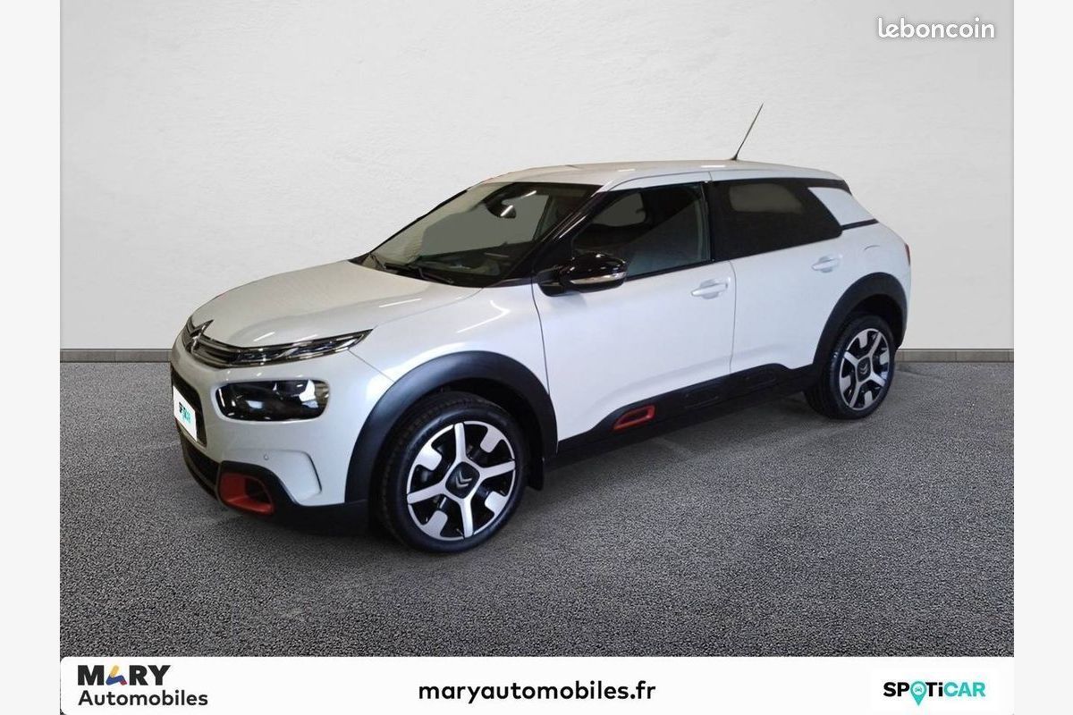 C4 Cactus Puretech