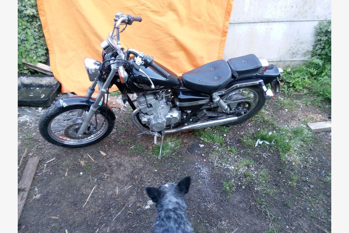 Honda 125 Rebel Custom