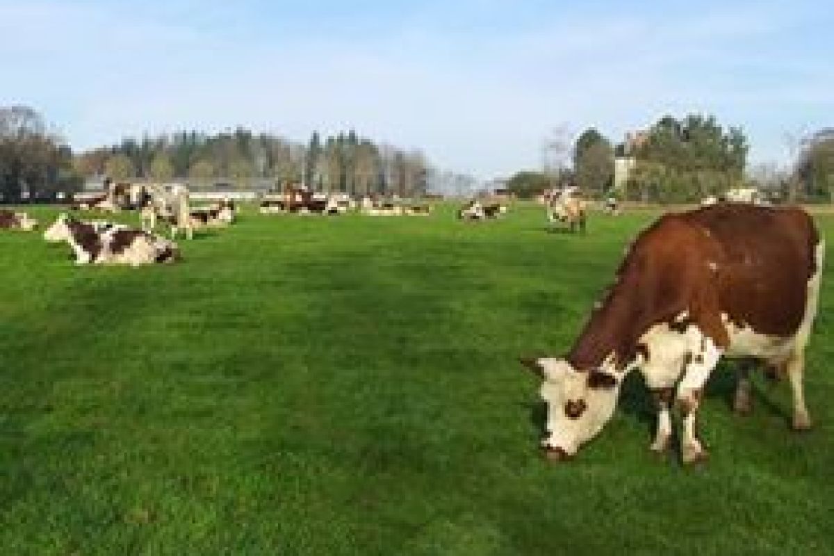 Recherche salarié·e agricole
