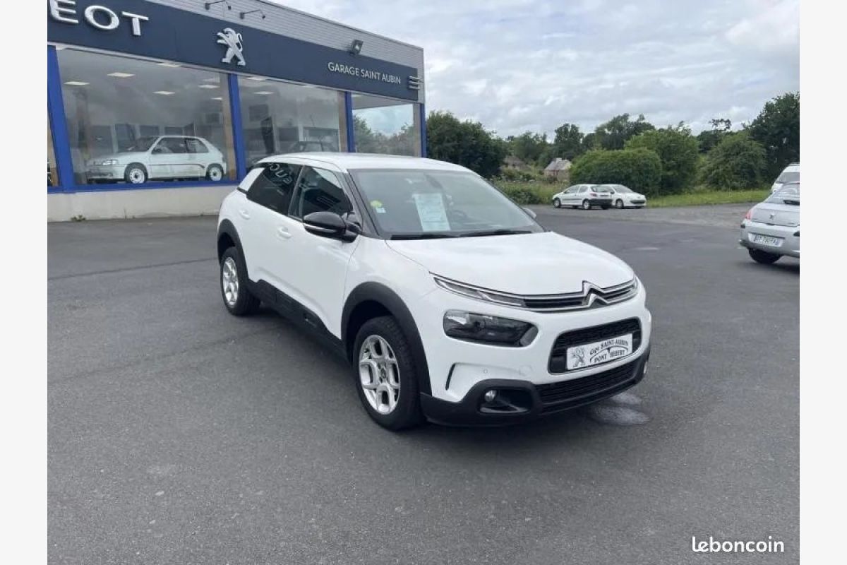C4 Cactus BlueHDi
