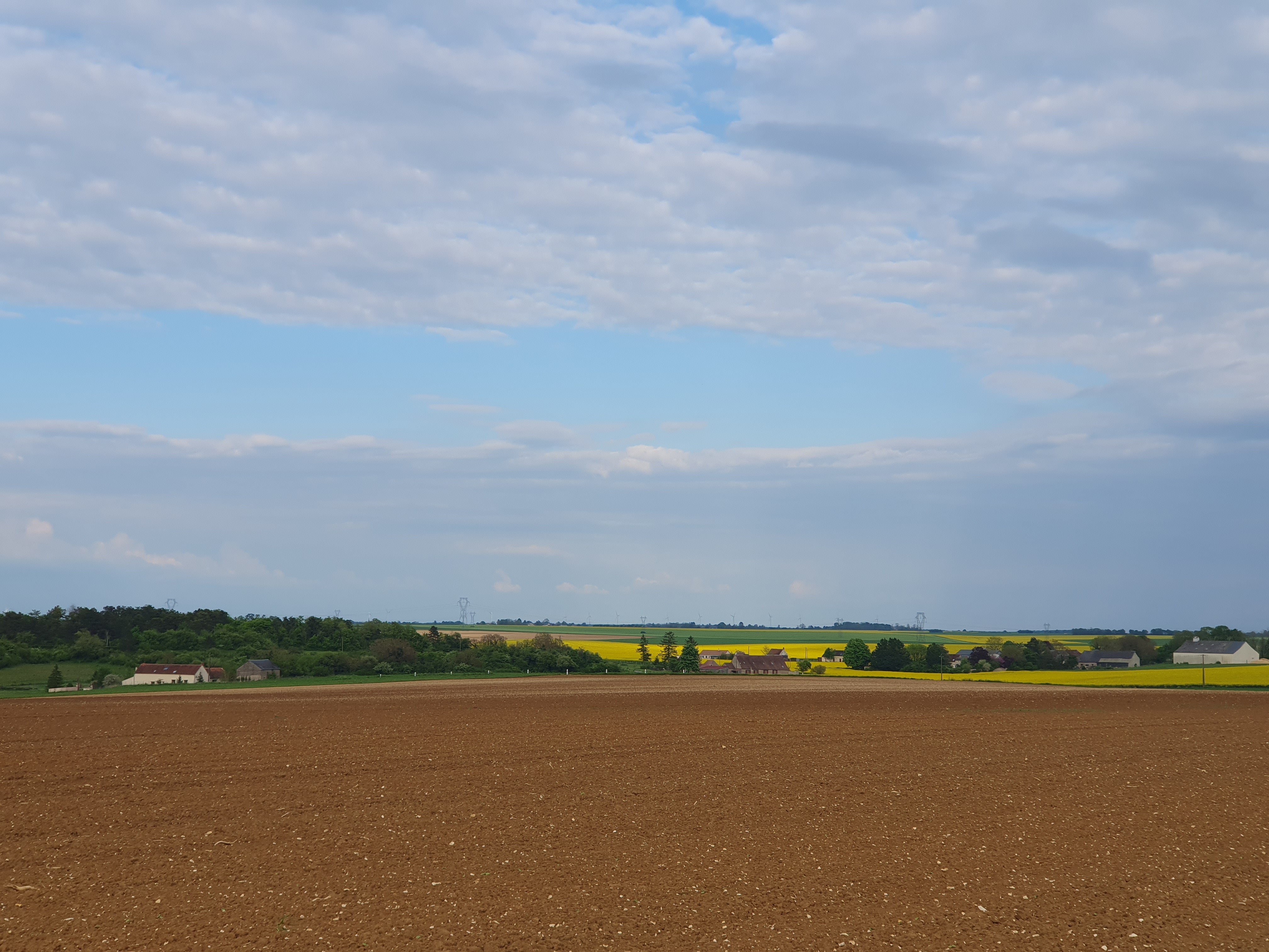 Exploitation agricole proche Issoudun cherche salarié autonome