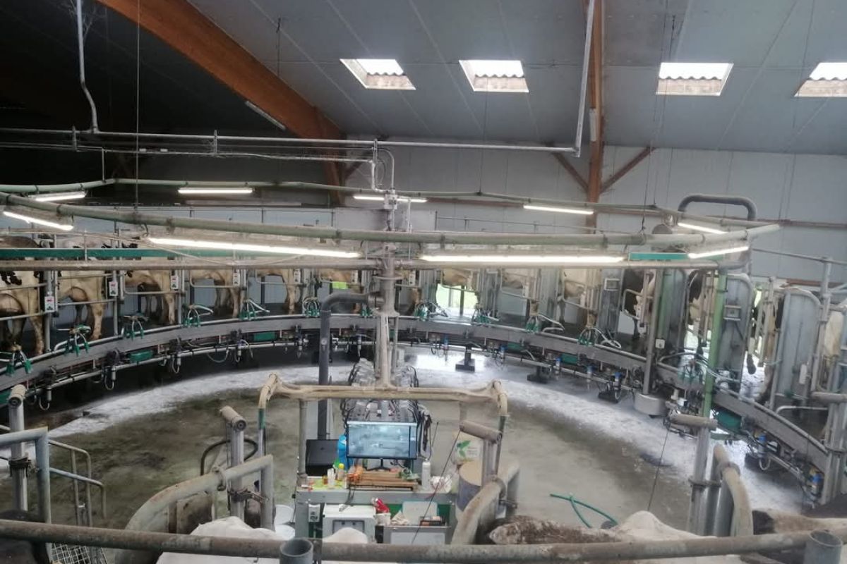 Salarié(e) agricole