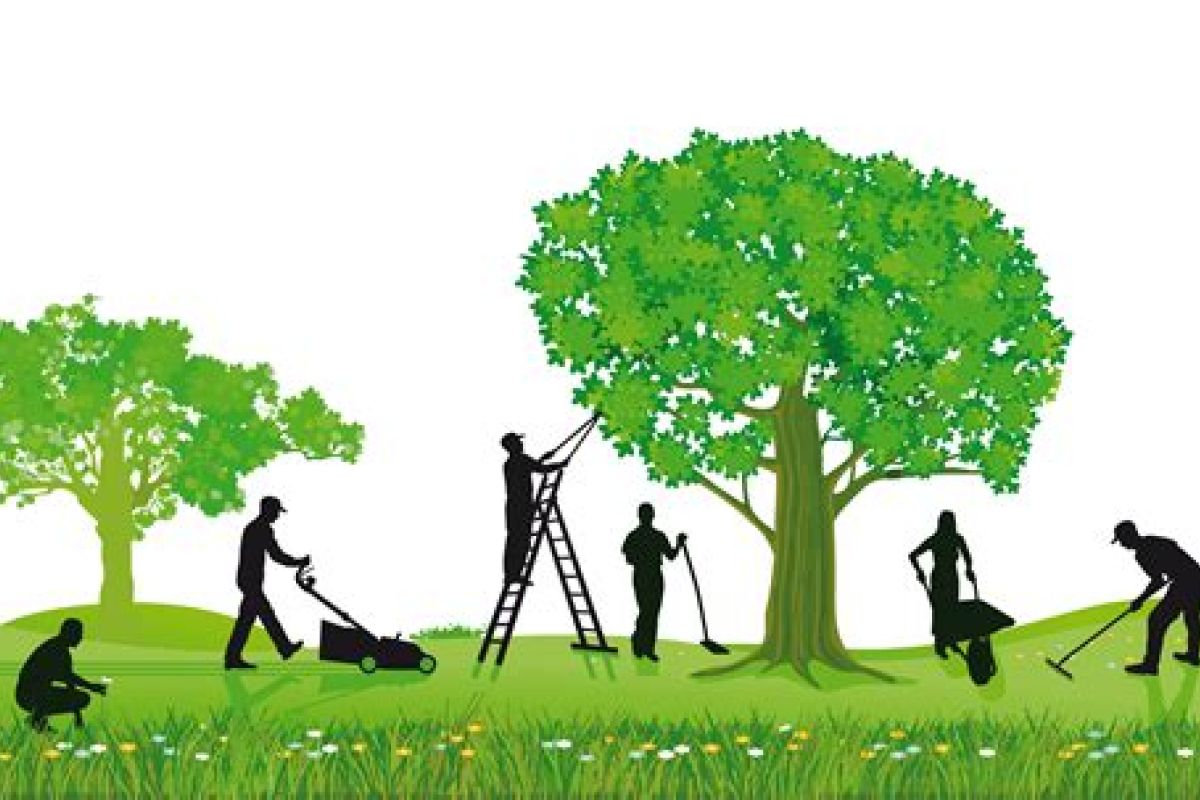 Entretien de Jardin