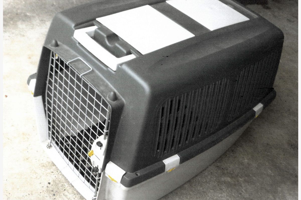 Cage pour chien