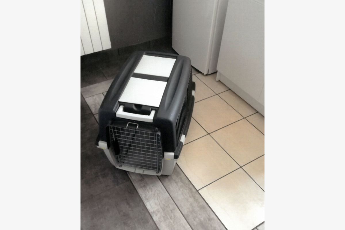Caisse de transport pour chien