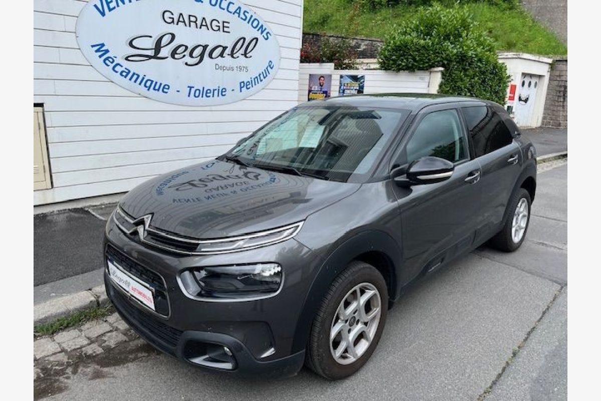 C4 Cactus 1.2