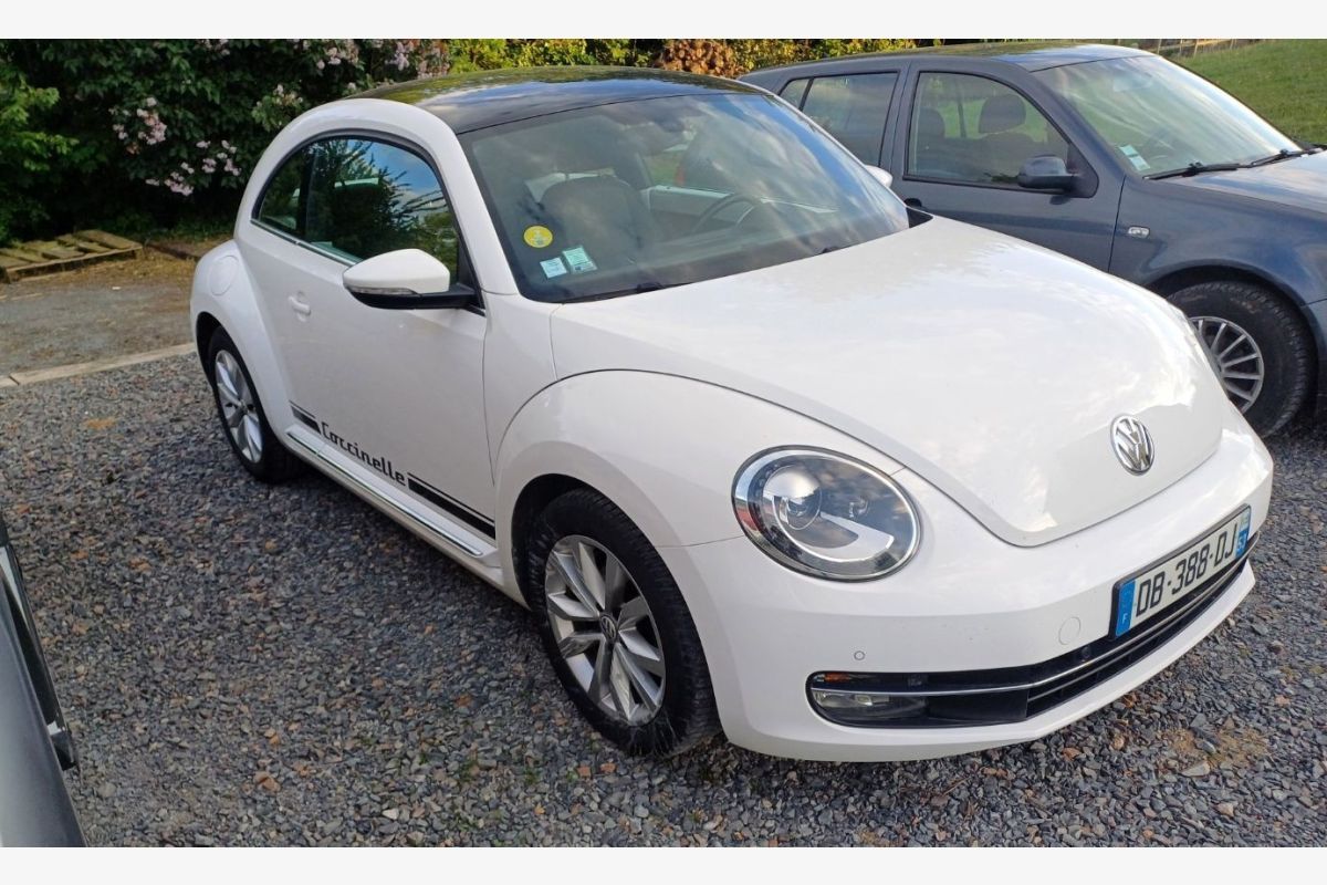 Coccinelle 