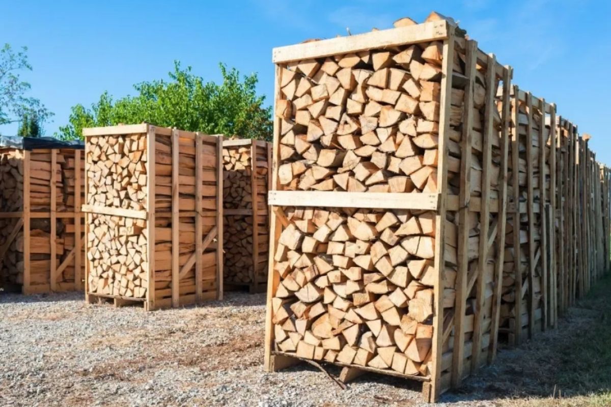 Du bois de chauffage près pour l'hiver 