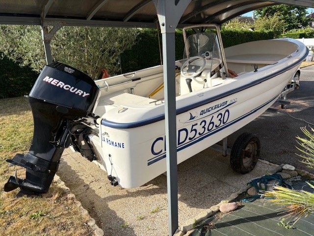 quicksilver 500
