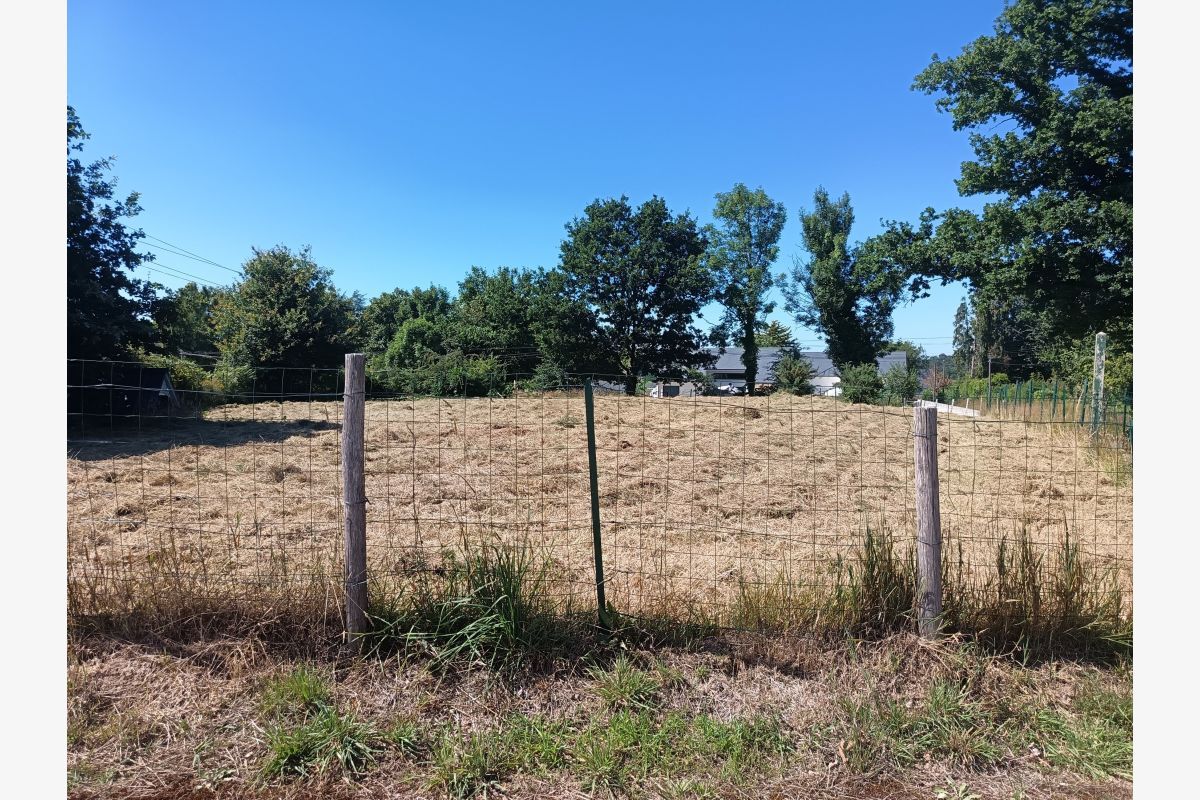 à vendre terrain agricole de 900 m2