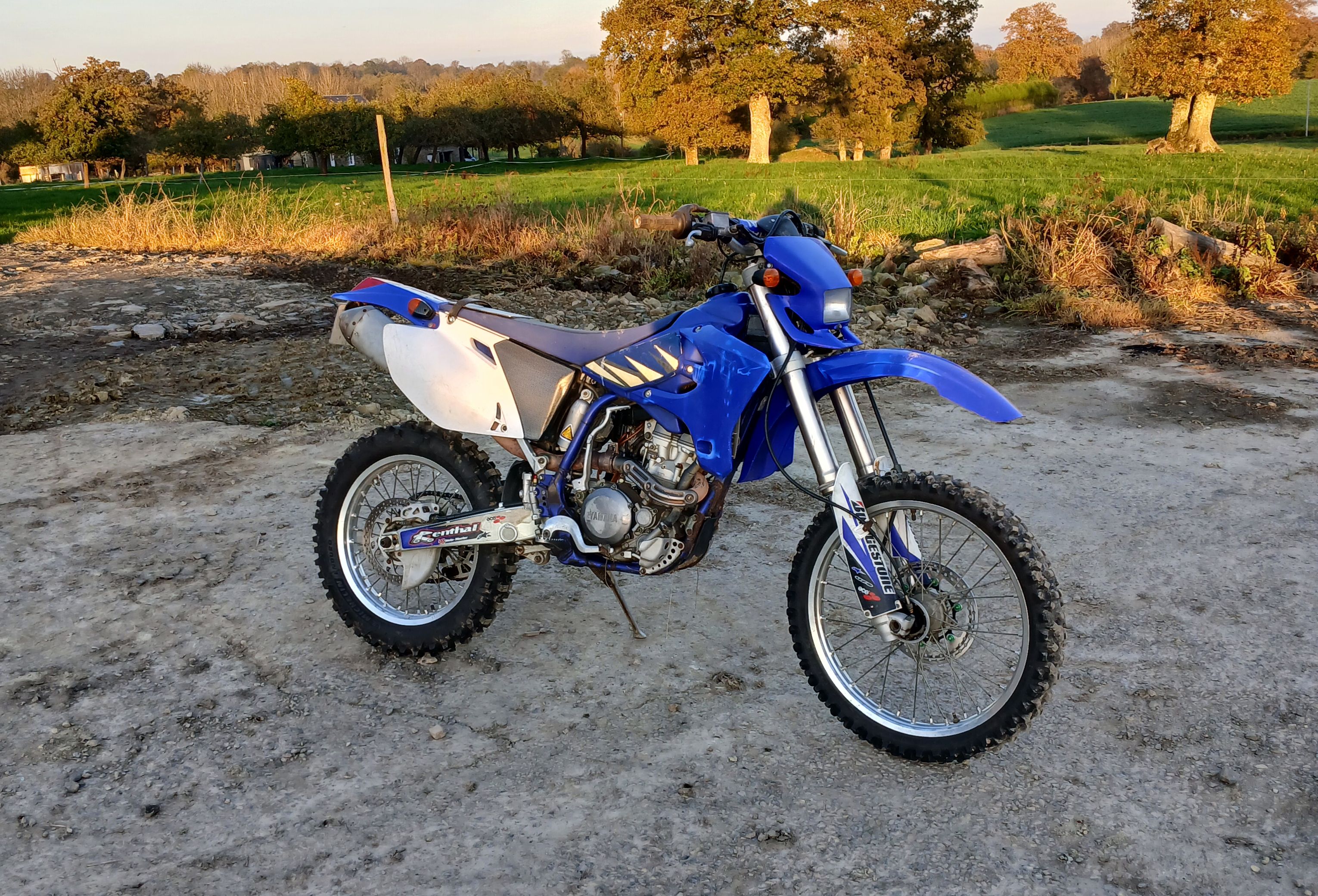 Yamaha WR 250 F