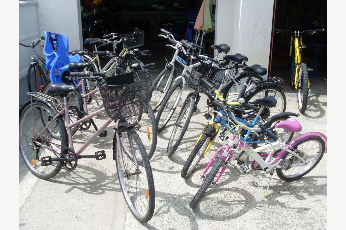 Nombreux vélos