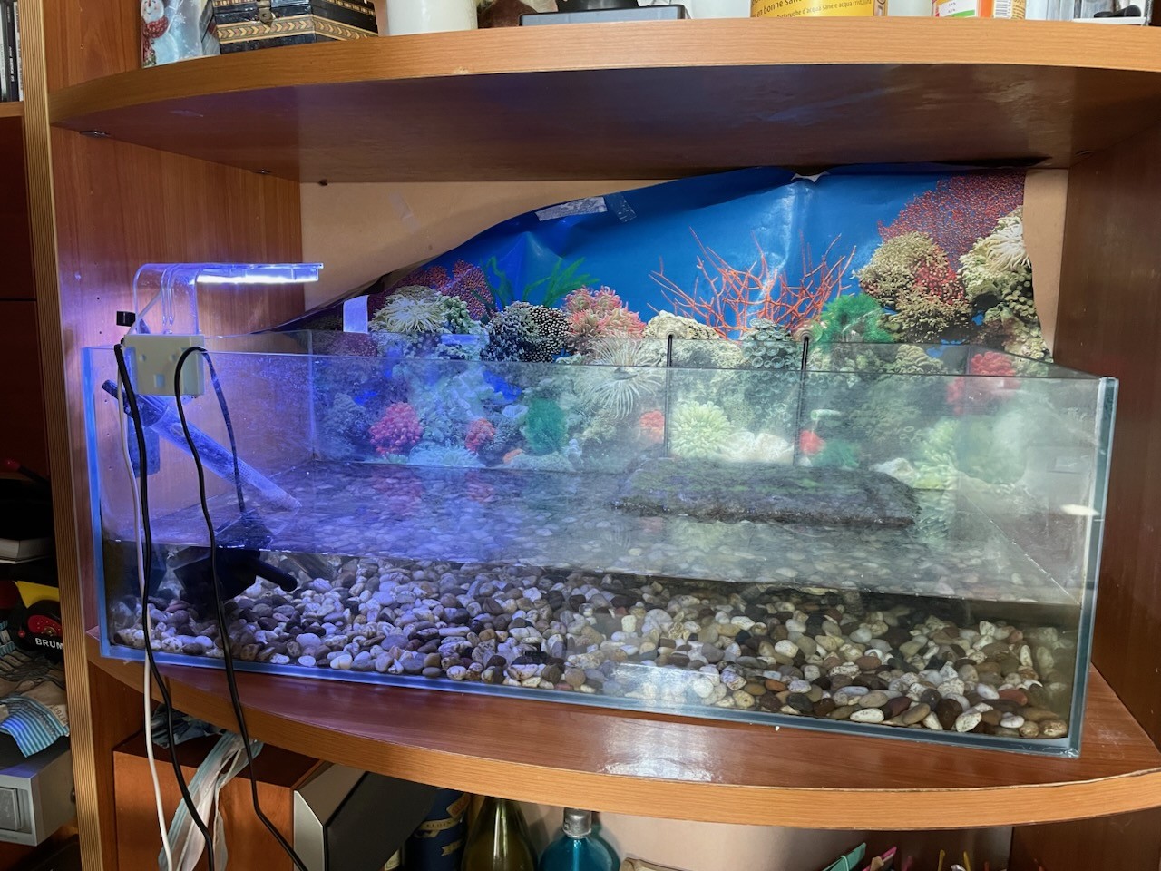 Grand aquarium