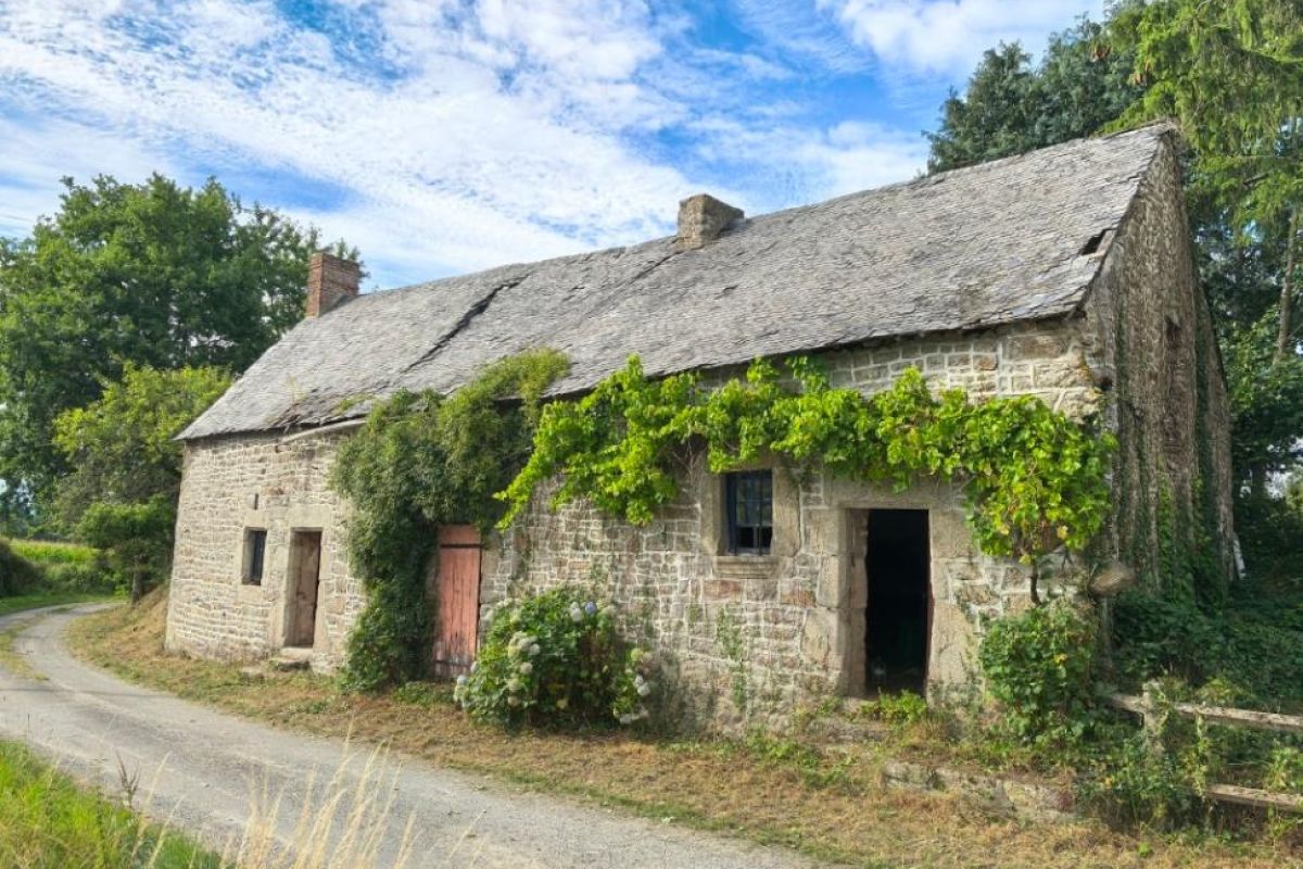 Grazay : Deux maisons en pierres à rénover
