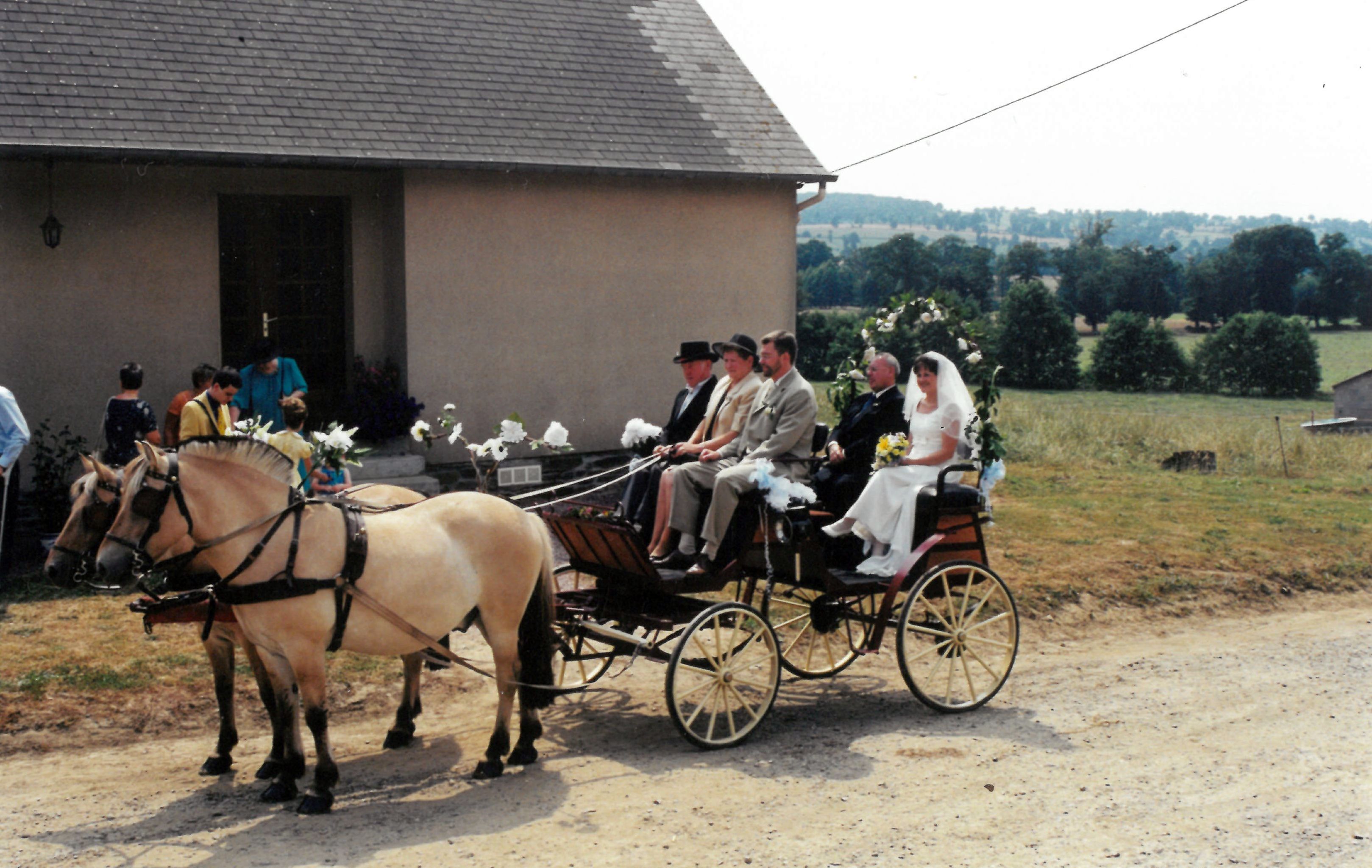 Calèche d'attelage double
