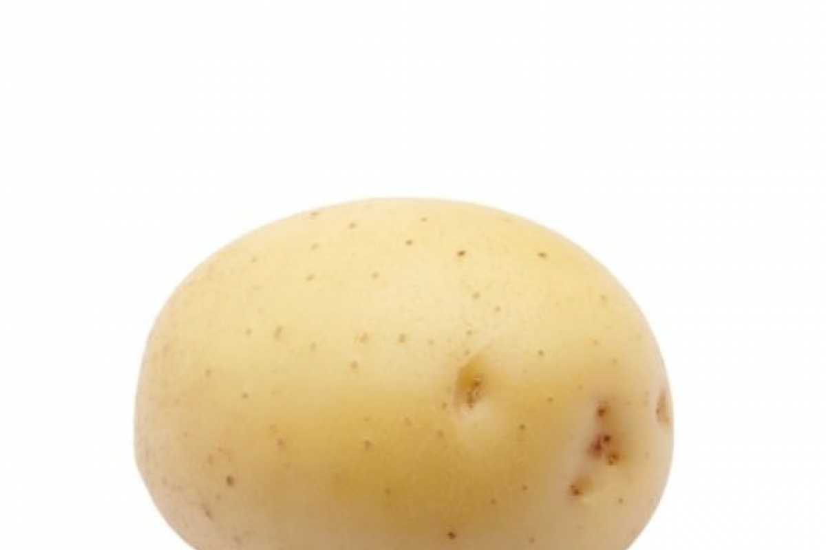 Vends pommes de terre fritable Colomba