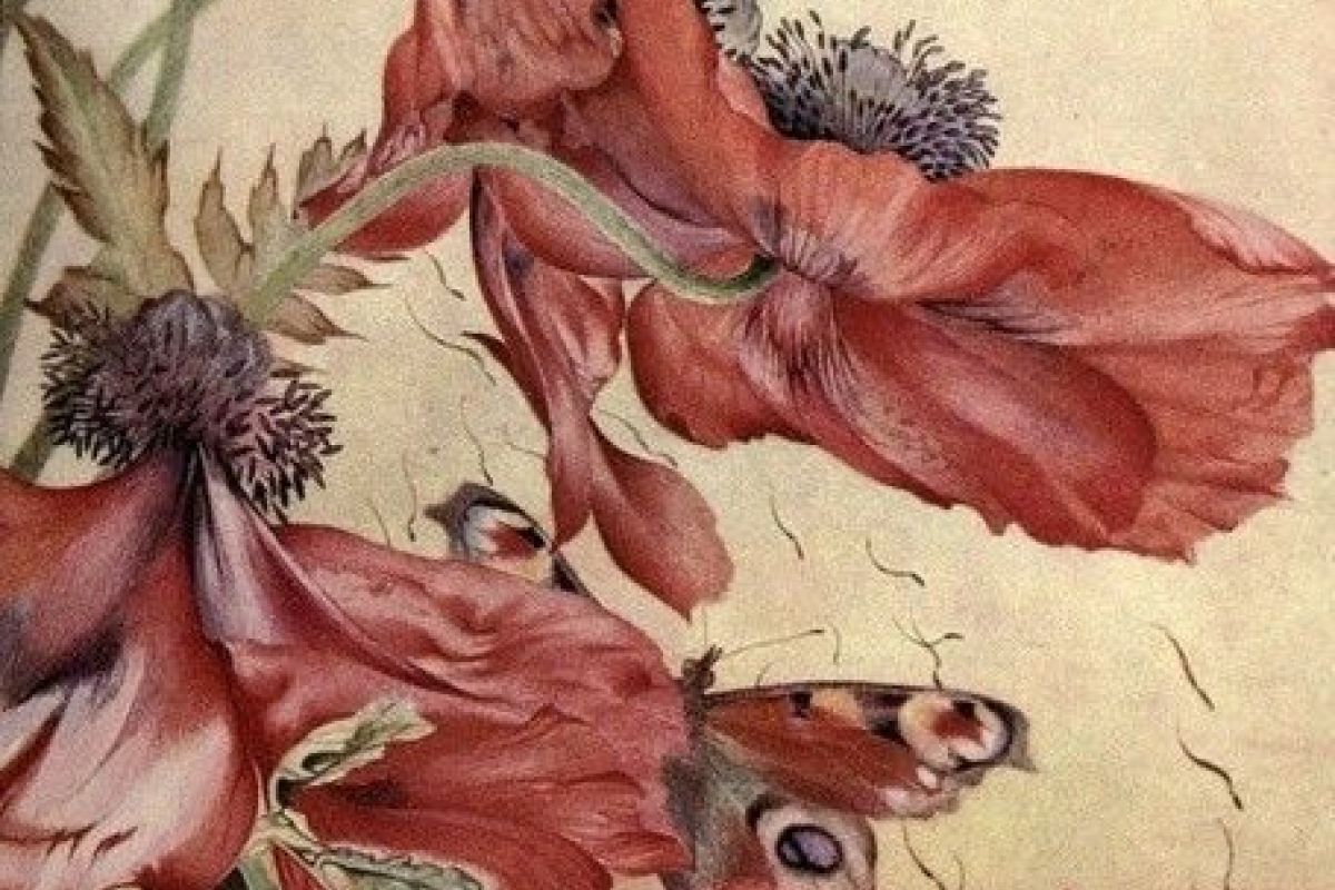 ACHETE / Tissus anciens, beau linge brodé, dentelle