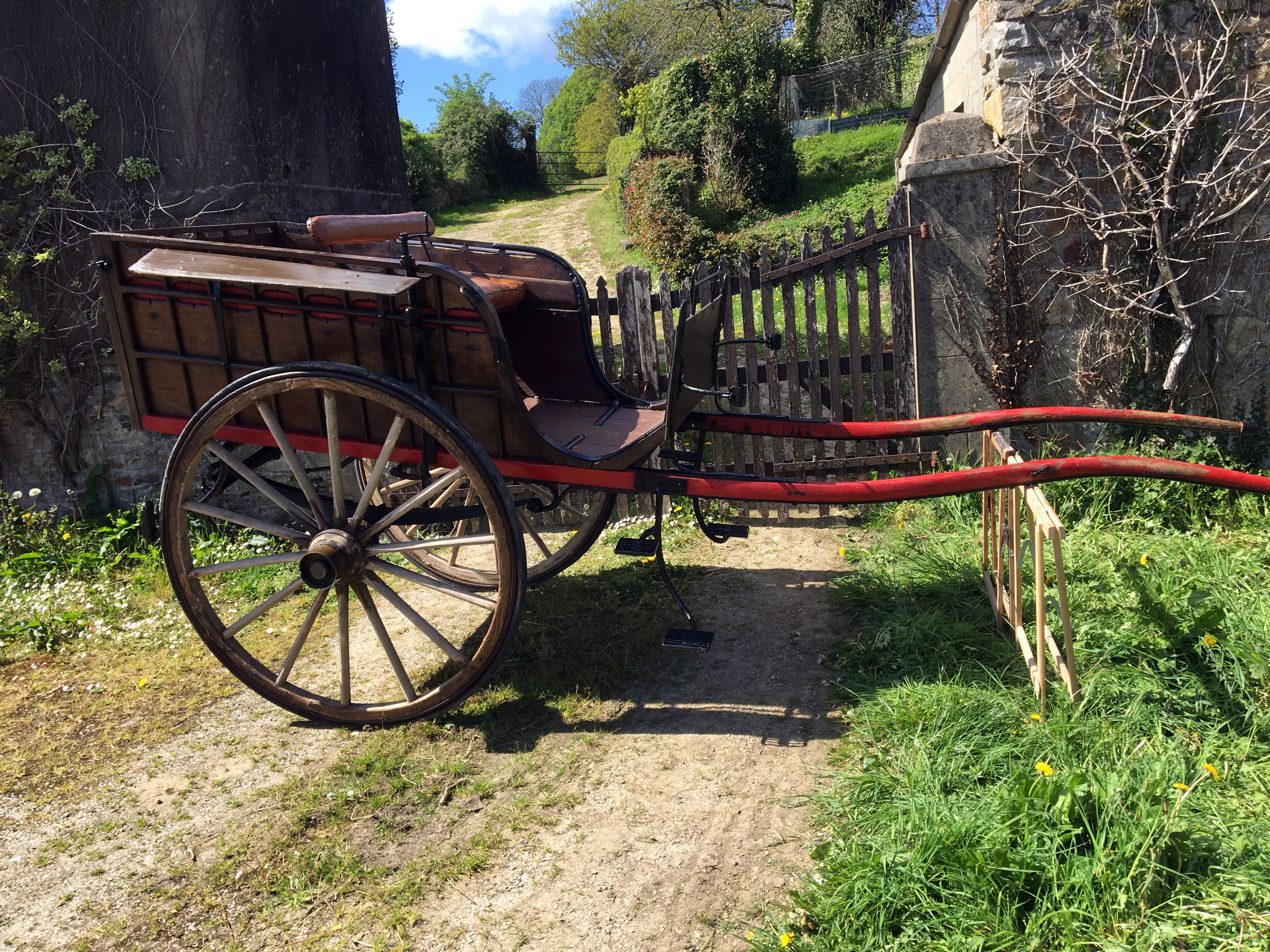 Carriole un cheval
