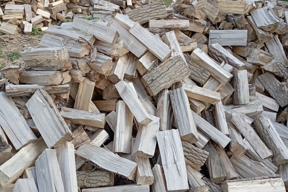 Bois de chauffage peuplier 