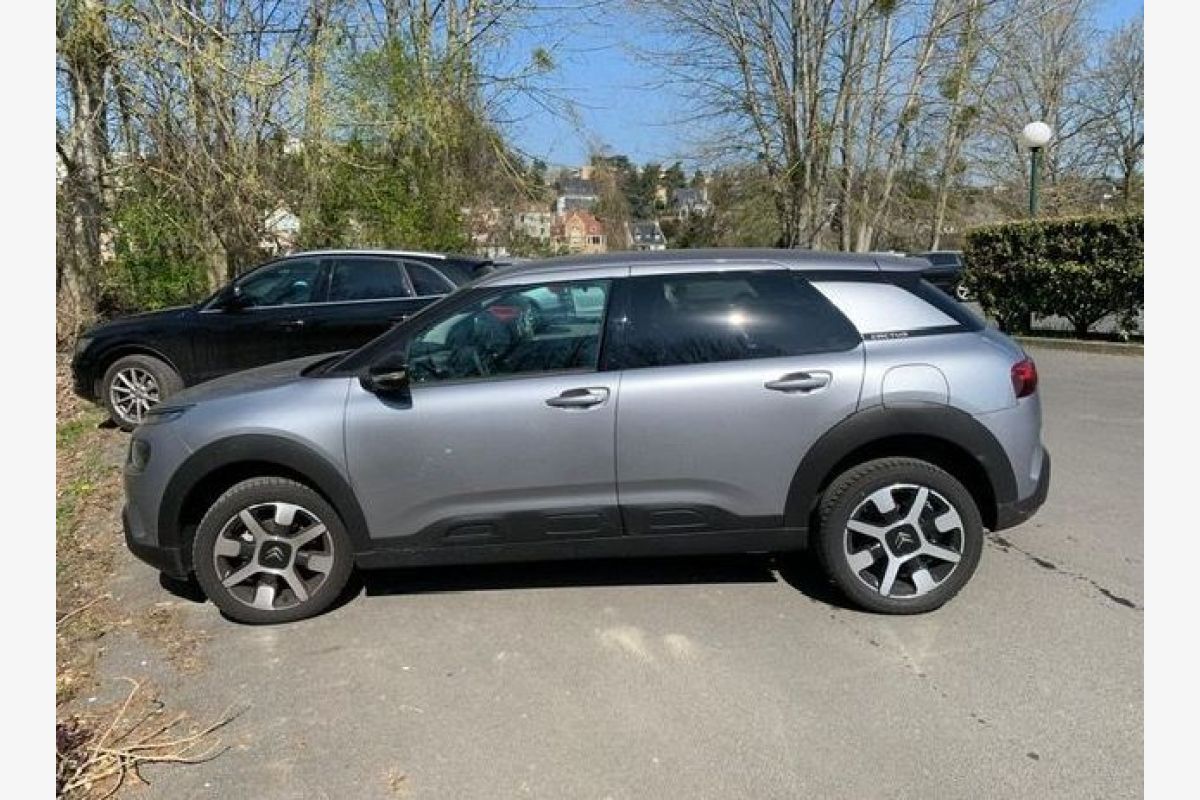 C4 Cactus PureTech ess.