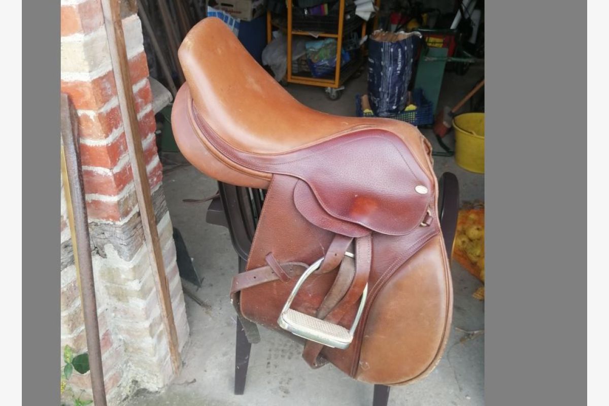 Selle de poney