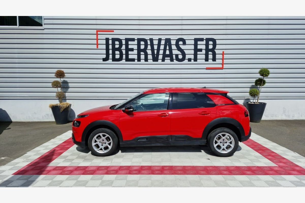 C4 Cactus Business Puretech