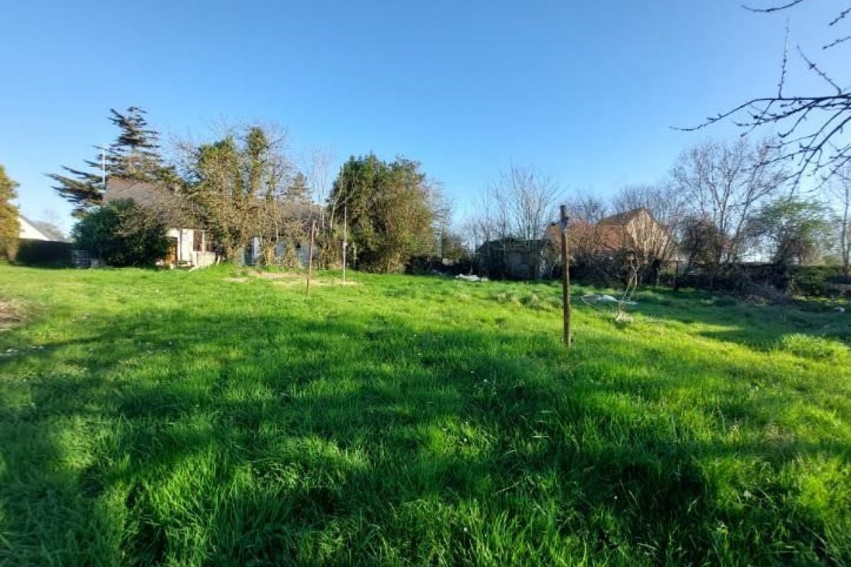 Photo 2 MUNEVILLE SUR MER Terrain constructible