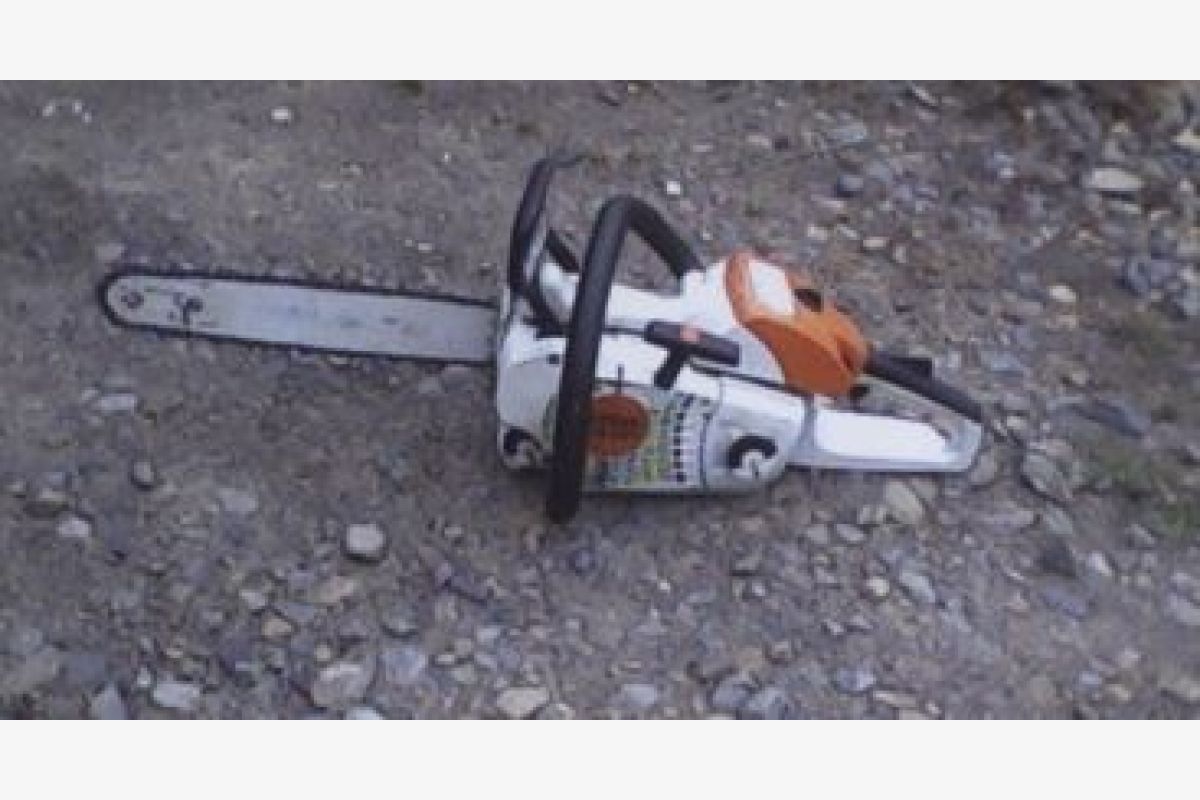 Tronçonneuse Stihl MS 201