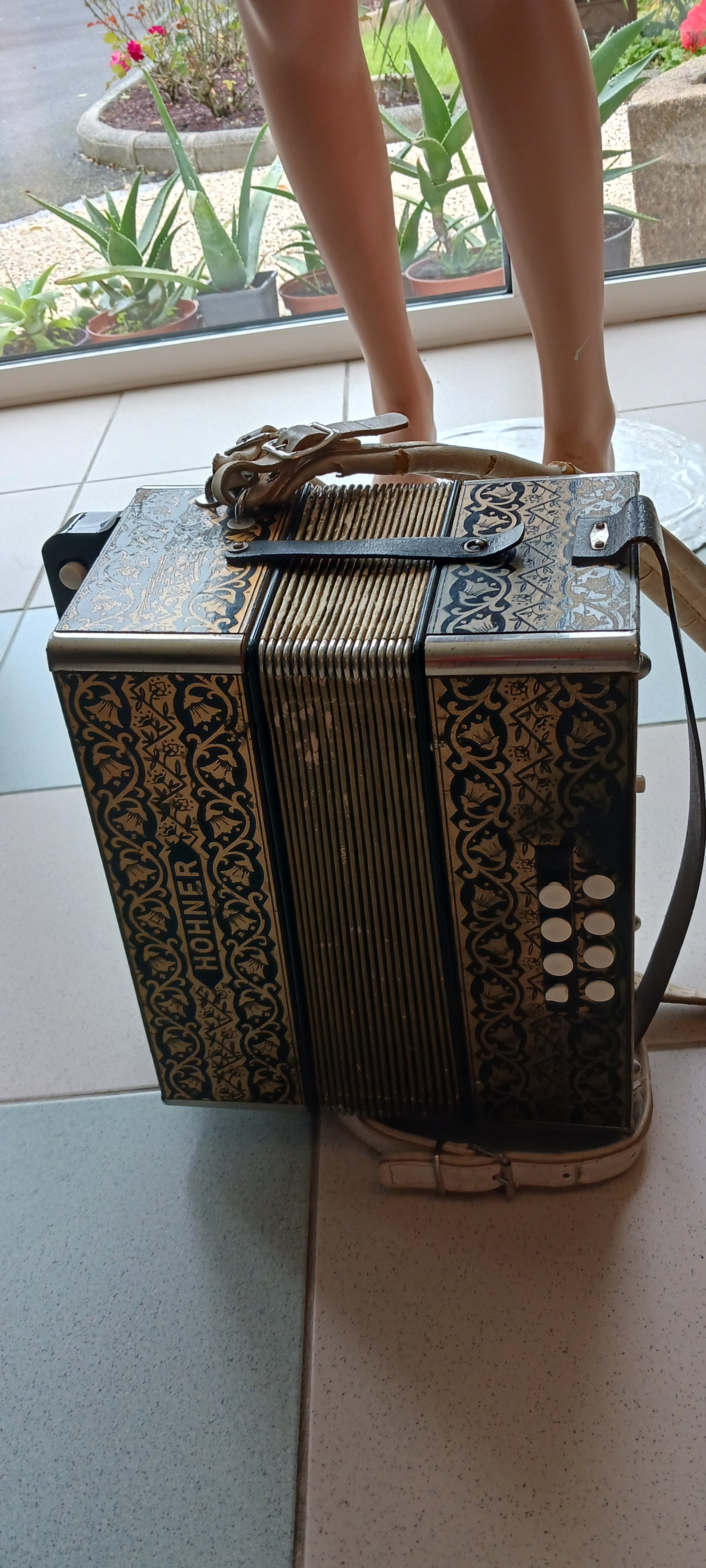 Accordéon diatonique Hohner
