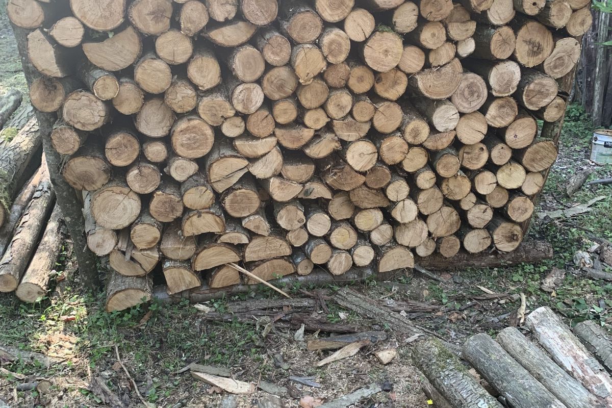 Bois de chauffage